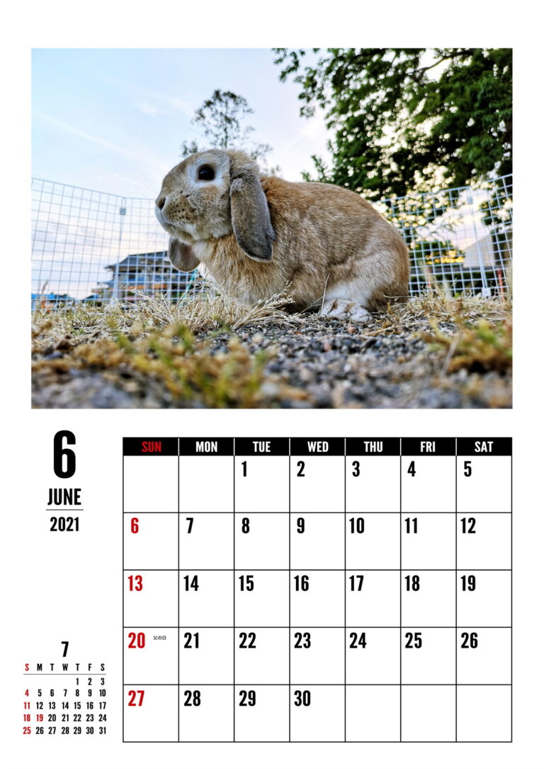 6月のカレンダー 好き勝手しほーだい 6月のカレンダー 好き勝手しほーだい