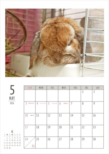 5月の自作うさカレンダー。。。