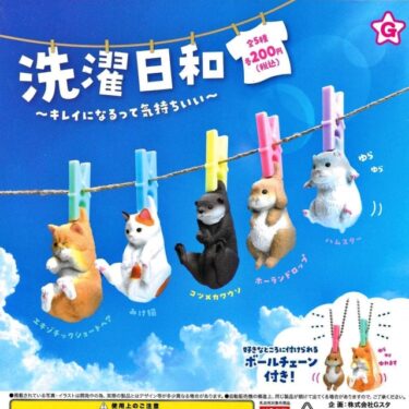 洗濯日和１。。。
