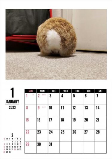 1月の自作うさカレンダー。。。
