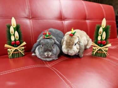 2026年だ！。。。