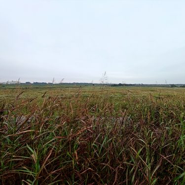 栃木へ。。。