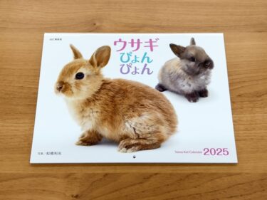 うさぎのカレンダー(2025)。。。