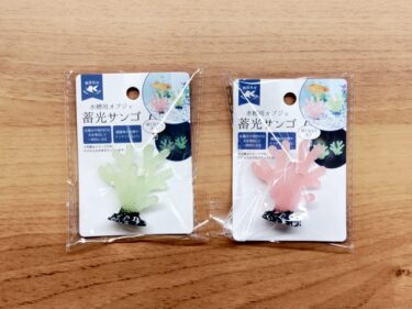 蓄光サンゴ。。。