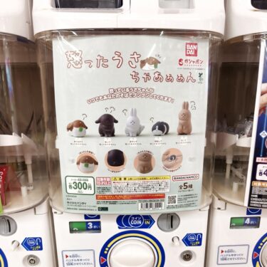 「怒ったうさちゃあぁぁん」。。。