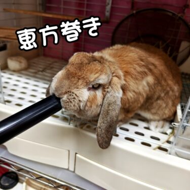 恵方巻き。。。