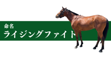ライジングファイト。。。