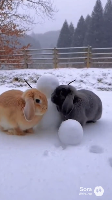 雪だるま。。。